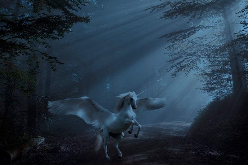 Unicorn Allies